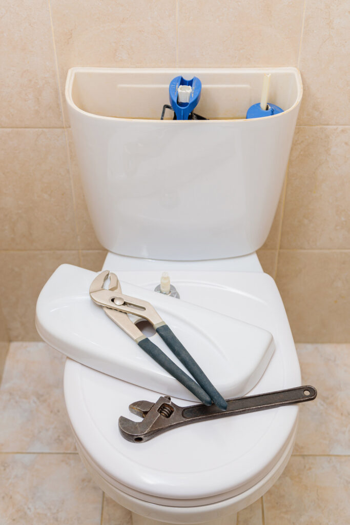 Toilet Plumbing Services